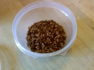 The finished roasted dandelion - about enough for 8 cups of brewed drink